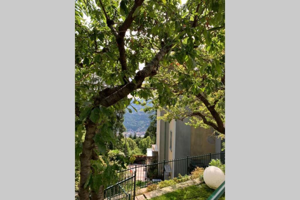 The Cherry Garden House Loft Lusso Apartment Brunate Exterior photo